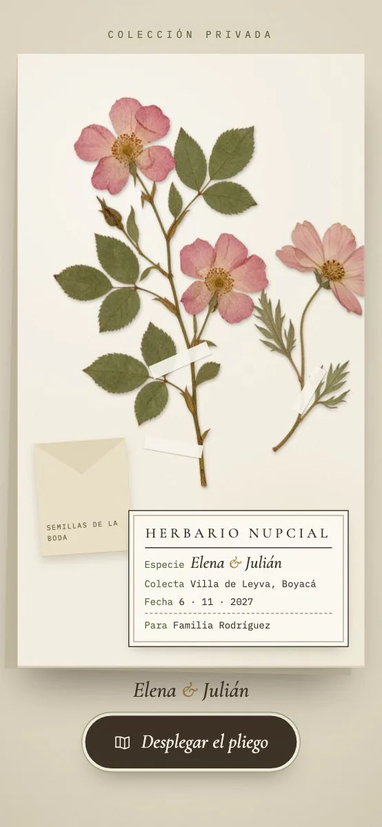 Diseño herbario: pliego con una rosa silvestre prensada y la ficha de colecta con la familia invitada